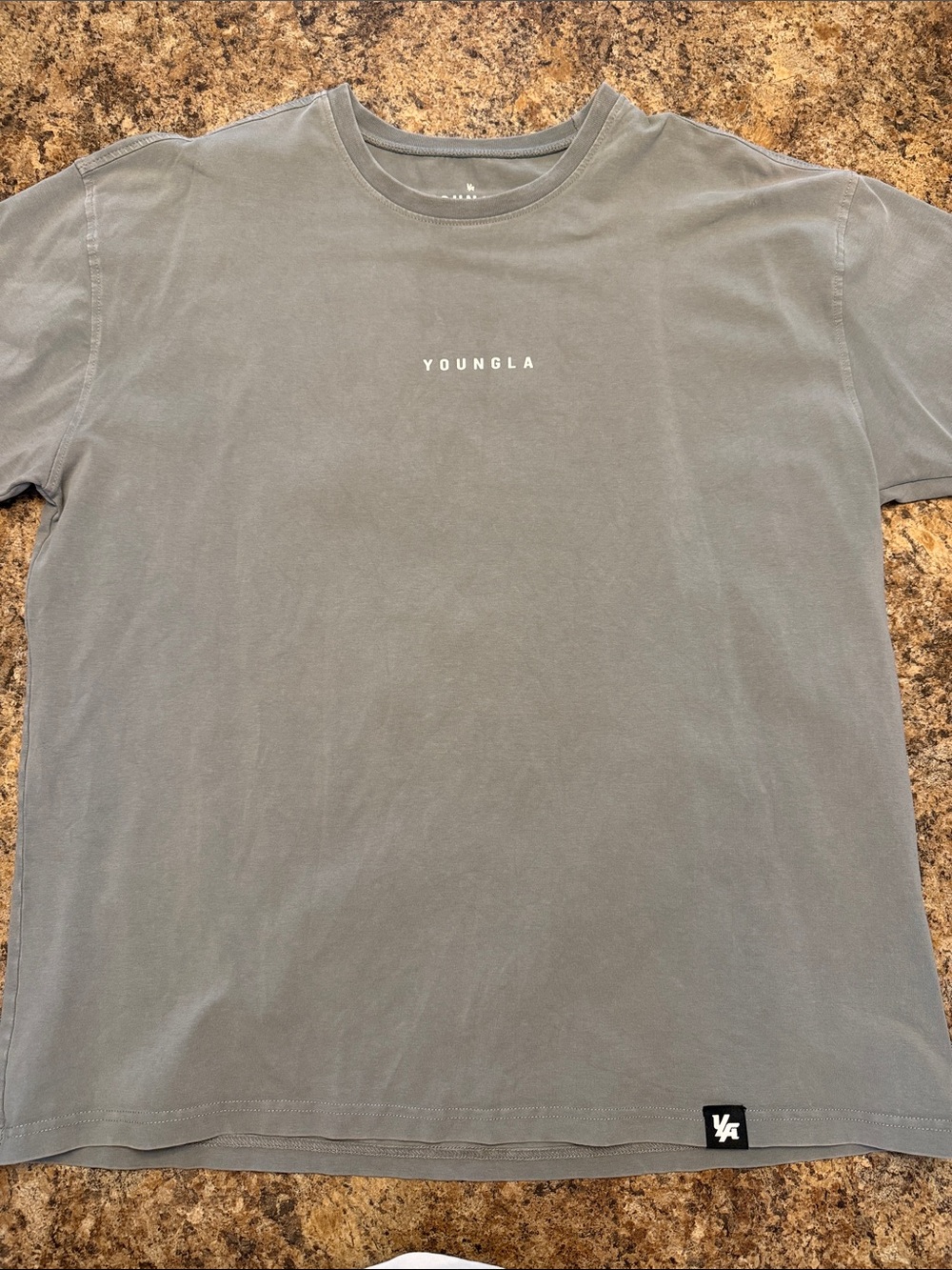 YoungLA Short Sleeve Crewneck T-Shirt in Slate Gray